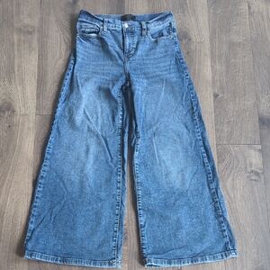 Banana Republic Classic Blue Flare Jeans